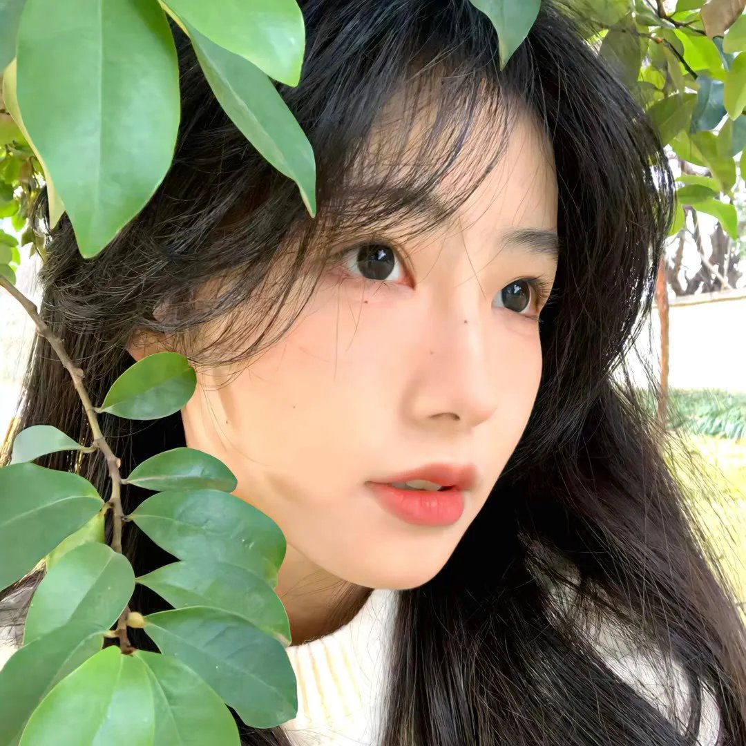 神探南茜第一季